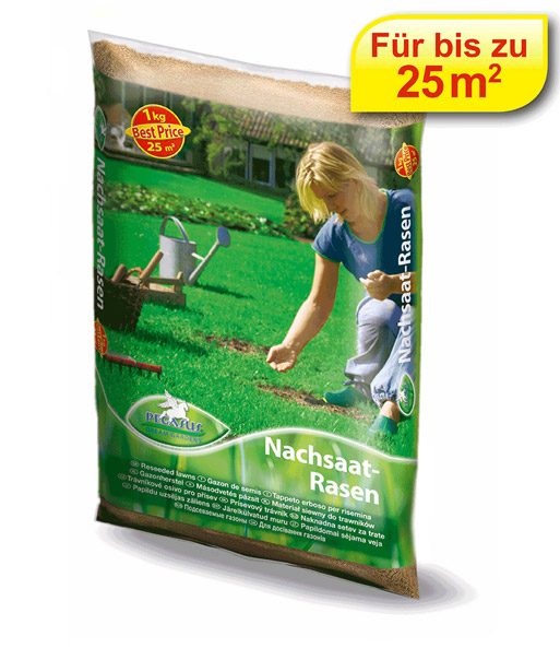 Nachsaatmischung Pegasus