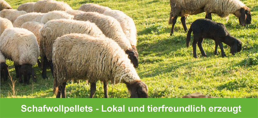 Nature Power Schafwollpellets  mit 11% organischem Stickstoff